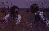 Daniel Pearl & Tobe Hooper