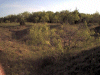View from Dry Creek area looking towards the house.