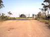 Top of old CR 172 looking south.